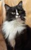 Margo (32)